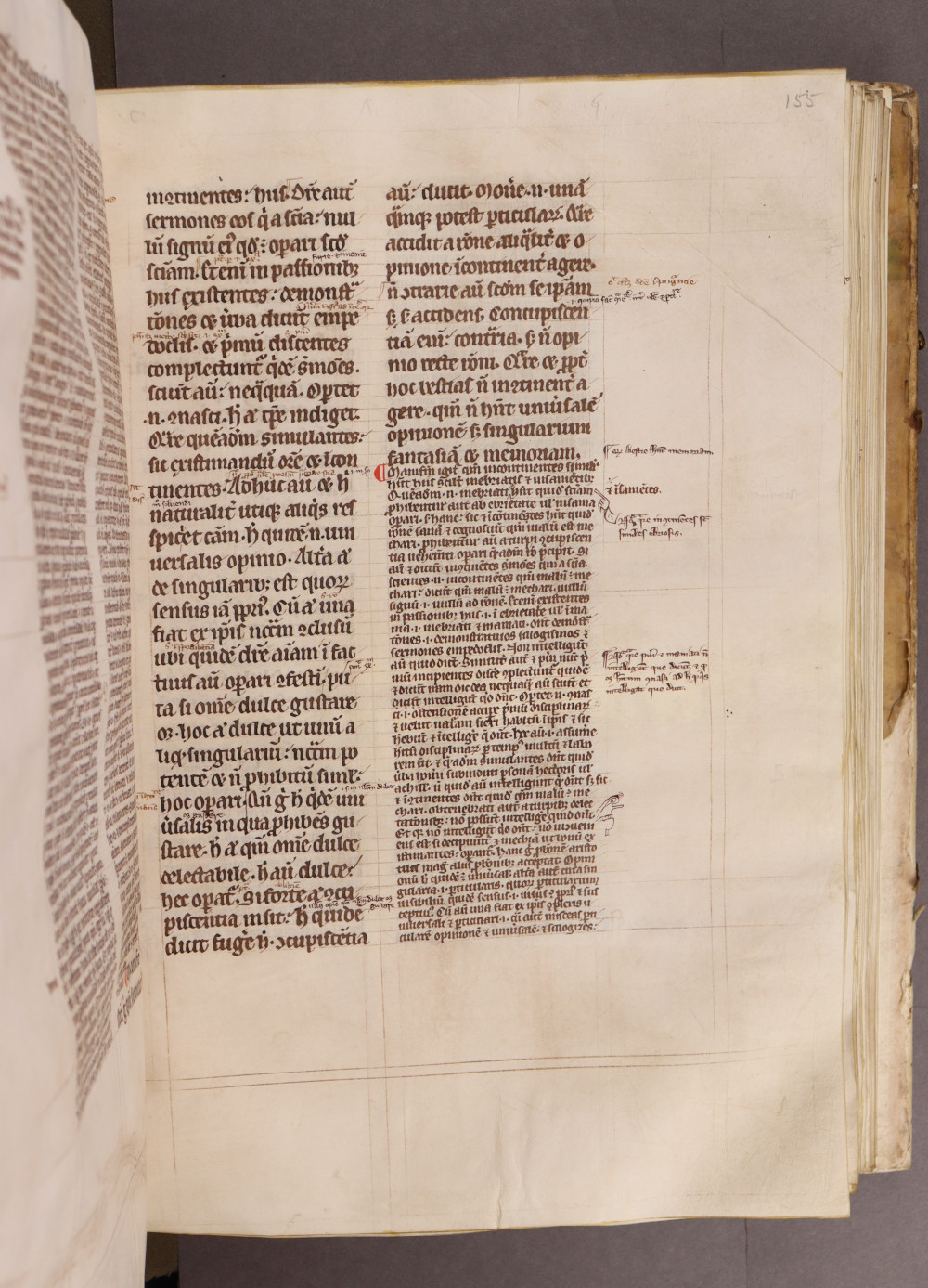 Folio 155 recto